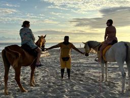Balade à cheval sur la plage de Salalah, avec transfert depuis votre hôtel en option