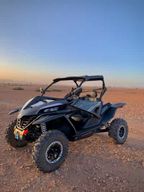 Désert de Marrakech et palmeraie en buggy