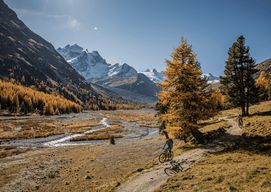 Chamonix en vélo électrique – Visite guidée d'une journée : Lac Vert et panoramas du Mont-Blanc