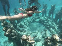 Gili Air/Trawangan : bateau à fond transparent et snorkeling