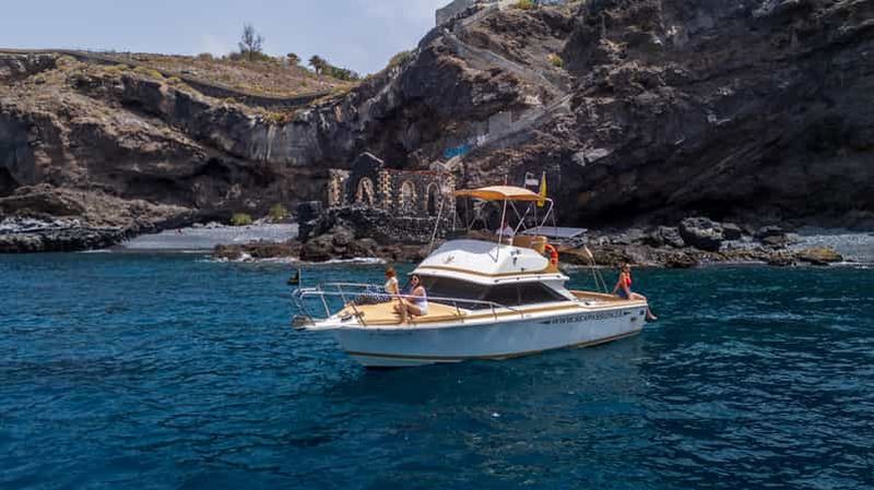 Depuis la plage de San Juan : croisière pour observer la faune marine