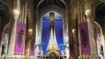 Expérience Braga : visite guidée et dégustations