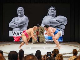 Osaka : spectacle de sumo avec bento ou en-cas, combat et photo