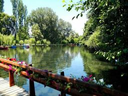 Pogradec : excursion en kayak et observation des oiseaux sur le lac d'Ohrid