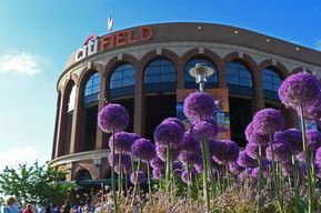 NYC : Visite guidée du Ballpark de Citi Field par un initié