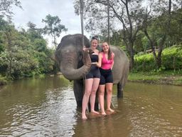 Chiang Mai : visite de groupe du sanctuaire des éléphants et des cascades