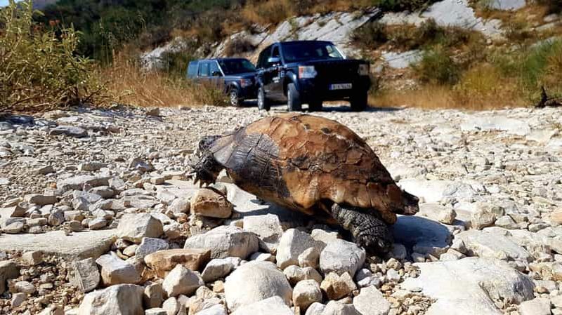 Corfou : Excursion au Mont Pantokrator