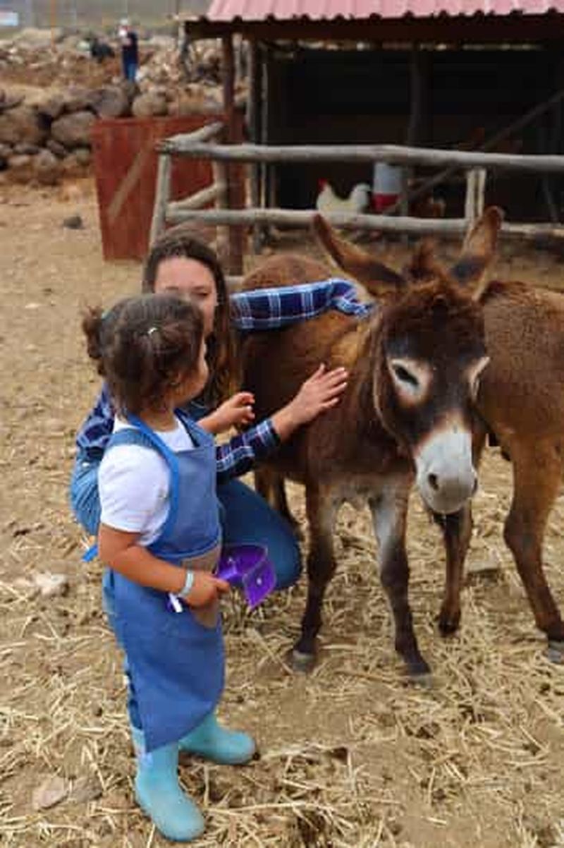 Agüimes : Soyez un agriculteur pour la journée à La Jaira de Ana