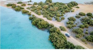 Arabie saoudite : voyage aux îles Farasan