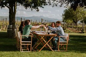 Au départ de Bilbao : La Rioja, un voyage à travers les vignobles et la tradition