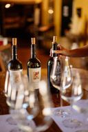 Oderzo : visite du domaine viticole Ornella Molon et dégustation de vin