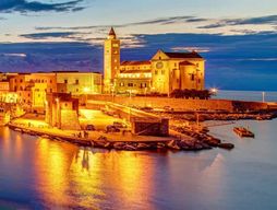 TRANI ET CASTEL DEL MONTE : visites guidées et transferts depuis Matera