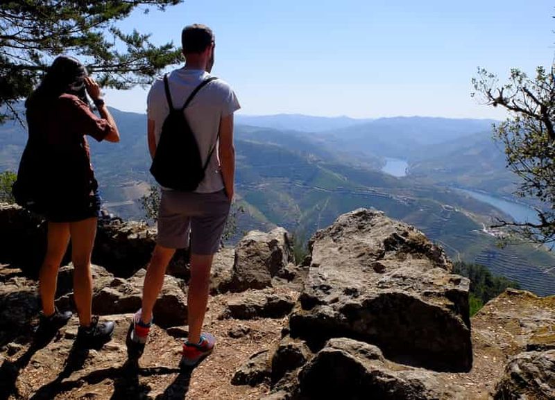 Au départ de Porto : Visite privée d'une journée dans la région du Douro, consacrée à la gastronomie et au vin