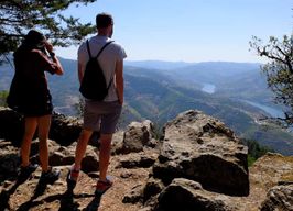 Au départ de Porto : Visite privée d'une journée dans la région du Douro, consacrée à la gastronomie et au vin
