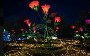 Le Jardin Royal de la Lumière : visite de nuit du Palais de Wilanow