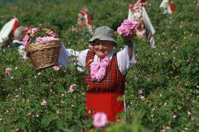 Au départ de Sofia : La Vallée des Roses et Koprivshtitsa (12 heures)