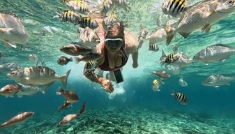 Carthagène : Excursion aux îles du Rosaire et à Playa Blanca avec plongée avec tuba ou aquarium