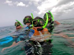 Vieques : Expérience partagée de plongée en apnée avec Salty Spirit