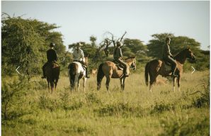 Namibie : safari à cheval dans la réserve de Kambaku