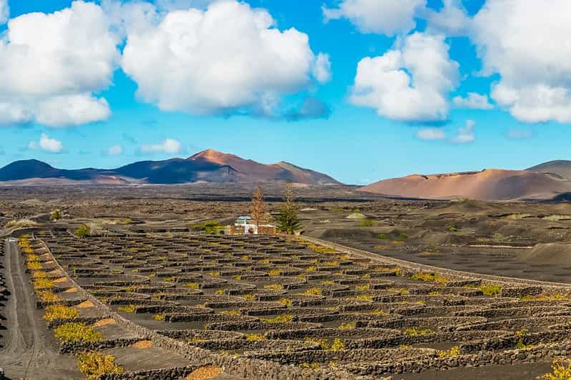Arrecife : Timanfaya et lagune verte pour les croisiéristes