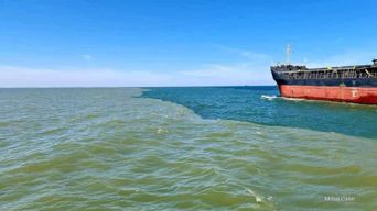 Sulina : excursion en bateau à l'embouchure du Danube, sur la mer Noire