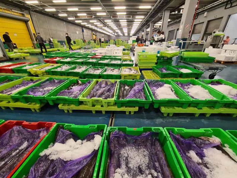 Visite guidée du marché aux poissons de Pasaia