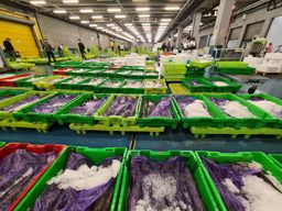 Visite guidée du marché aux poissons de Pasaia