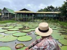 Excursion d'une journée dans la réserve naturelle Flor de Loto