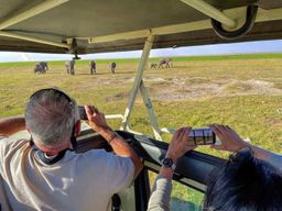 Parc national d'Amboseli : safari d'une journée et vues sur le Kilimandjaro