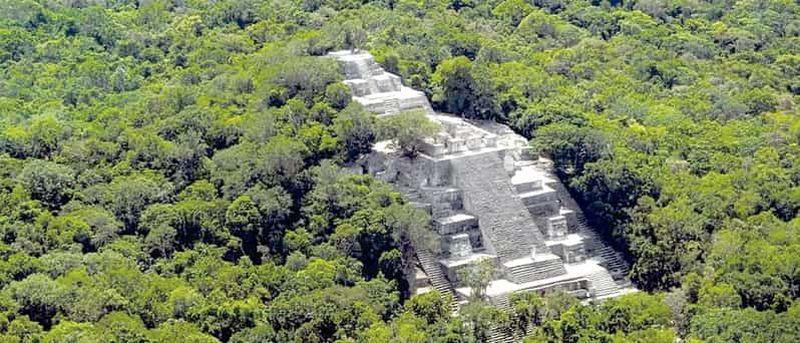 Depuis Campeche : excursion guidée d'une journée dans la nature et l'histoire de Calakmul