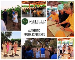 Salento : Visite guidée de l'exploitation avec dégustation et apéritif salentin