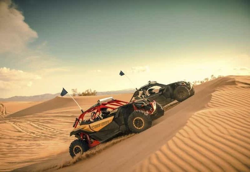 Dubaï : Red Dunes Quad Bike, Dune Buggy, Camel & Refreshments (en anglais)
