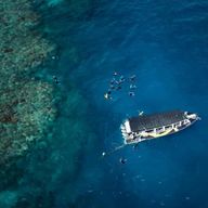 Cairns : excursion d'une demi-journée en snorkeling sur la Grande Barrière de Corail