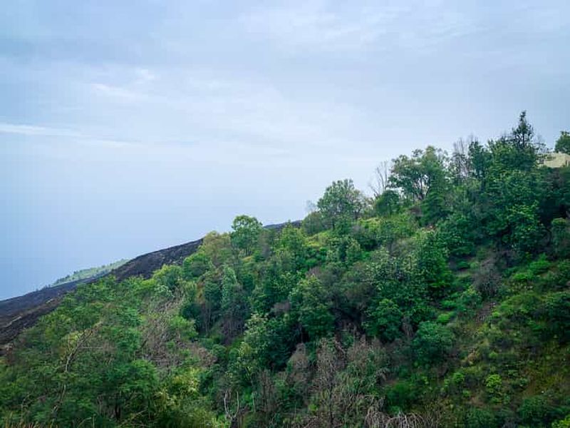 Sao Filipe: excursion d'une journée à la plantation de café et aux piscines naturelles