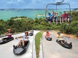Singapour : billet d'entrée pour Skyline Luge Sentosa