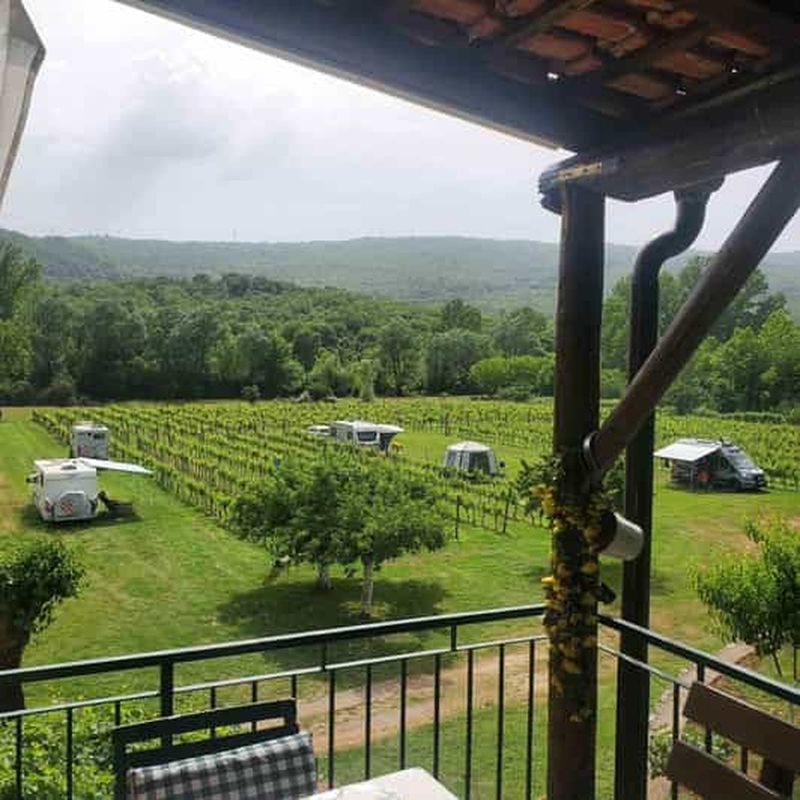 Podgorica : dégustation de vins panoramique et collation