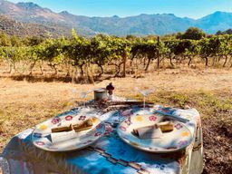Dégustations de vin autour de Calvi et de l'Île-Rousse