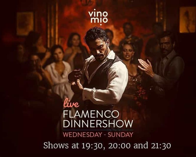 Malaga : dîner-spectacle de flamenco authentique au restaurant VinoMio