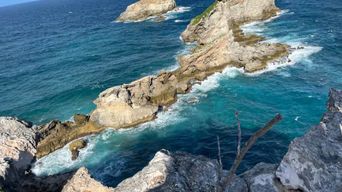 Saint-François: Donut BBQ Boat & Pointe des Châteaux