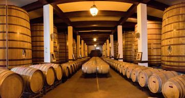 Favaios : découvrez le doux secret caché du Douro en commençant à Porto