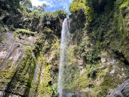 Arusha : Randonnée guidée aux chutes d'eau de Napuru