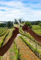 Depuis Albufeira : dégustation de vin et visite historique de Silves