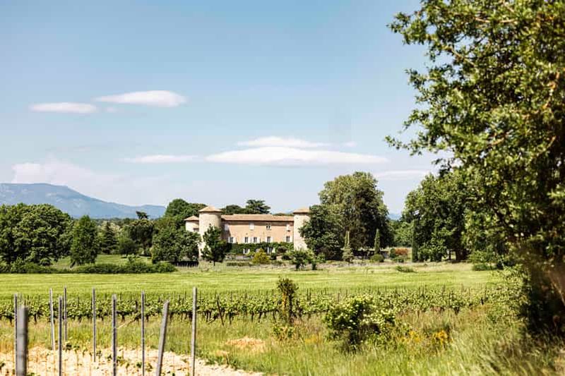 Ardèche : visite guidée de notre domaine viticole avec dégustation