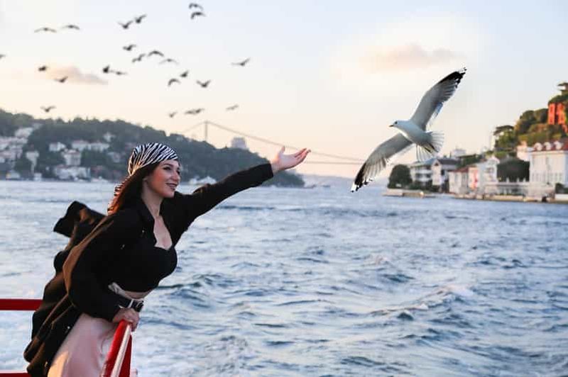 Istanbul : Croisière touristique sur le Bosphore avec audioguide
