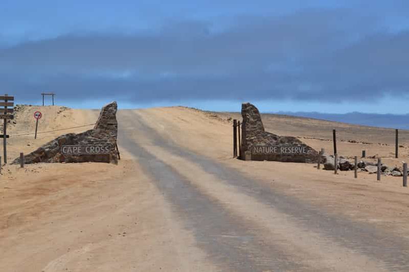 Visite guidée de Cape Cross et Henties Bay Côte des Squelettes Namibie