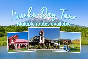 Journée de ski à Hokkaido Niseko