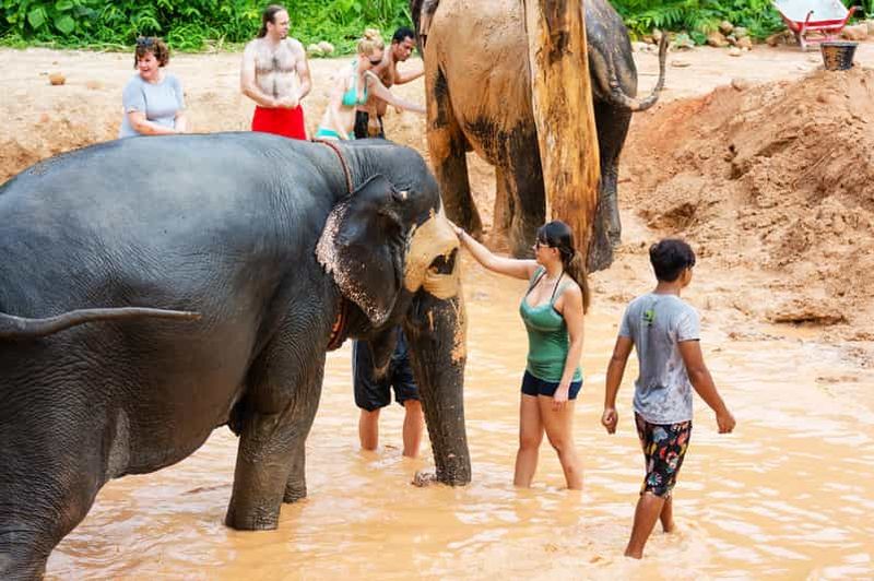 Phuket : Sanctuaire des éléphants de Phuket, Wat Chalong et plus encore