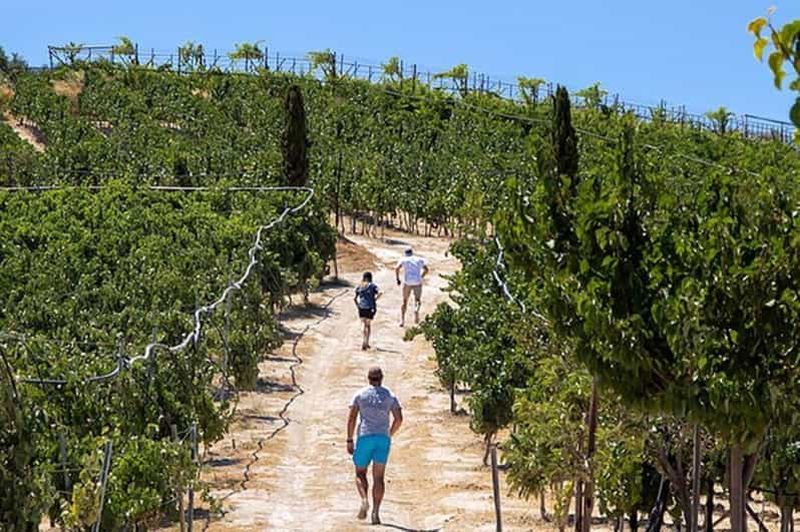 HERAKLION : Dégustation de vins aux vignobles Douloufakis ARISMARI