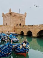 Excursion d'une journée à Essaouira depuis Marrakech, côte atlantique et médina