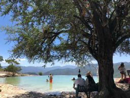 Depuis Oaxaca de Juarez : Hierve el Agua et la distillerie de mezcal